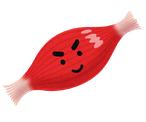 筋